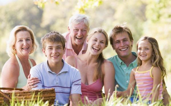 how Vitrafoxin works to support daily brain wellness